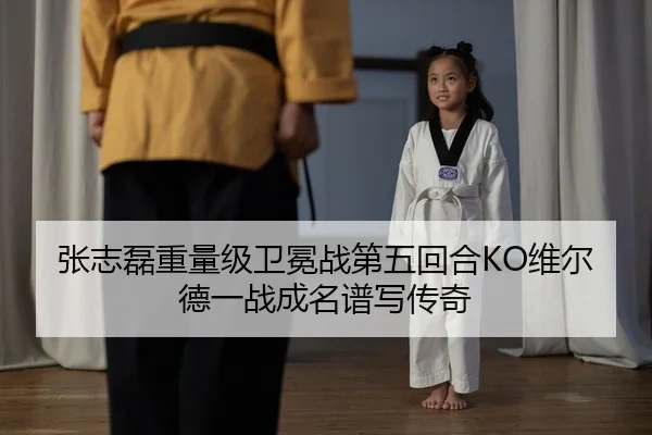 张志磊重量级卫冕战第五回合KO维尔德一战成名谱写传奇
